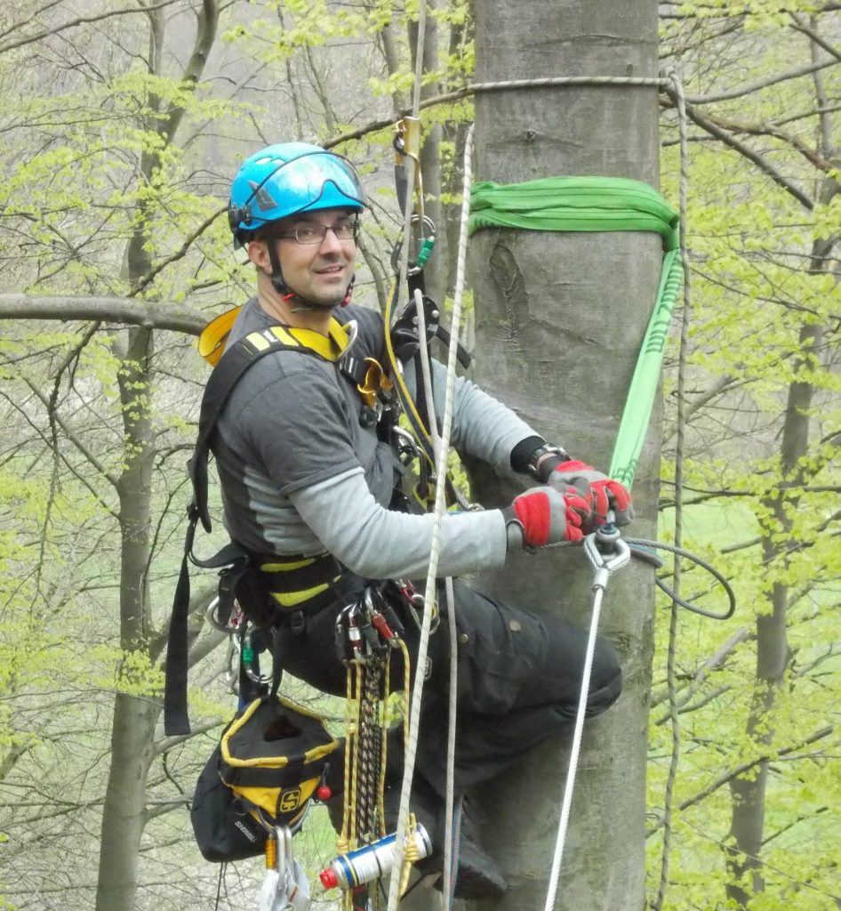 Kletterer beim Bau eines Seilgartens