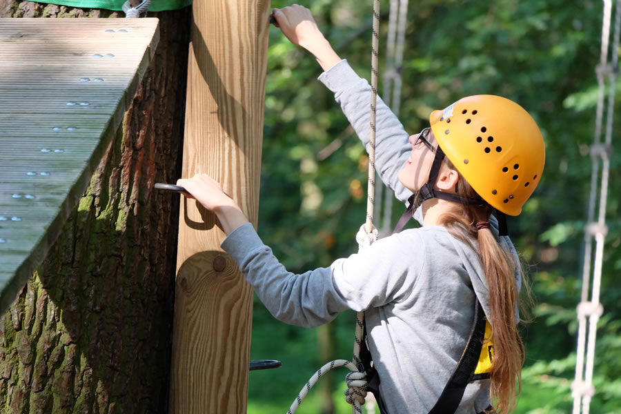 Mensch beim Klettern im Seilgarten